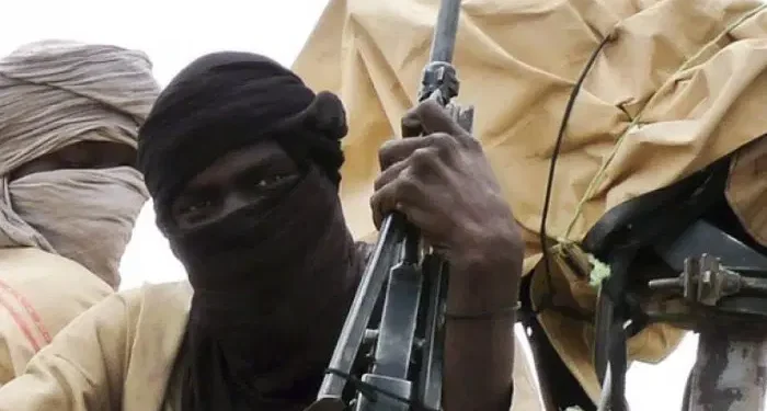 Bandits Kill Over 30 in Fresh Attacks on Niger State Communities